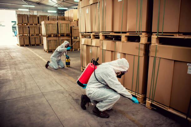 Best Pest Control Near Me  in Camden, TN