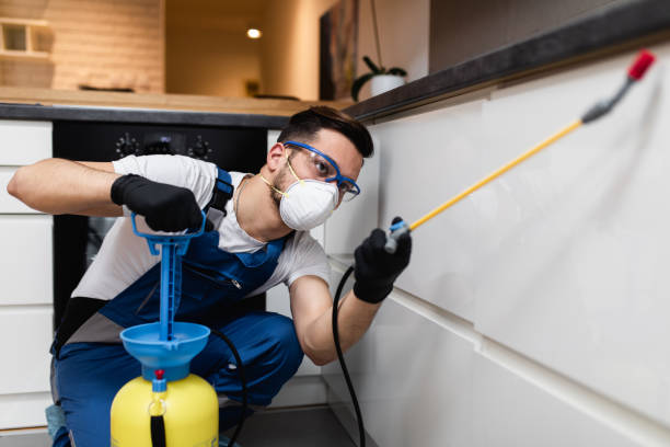 Best Emergency Pest Control  in Camden, TN