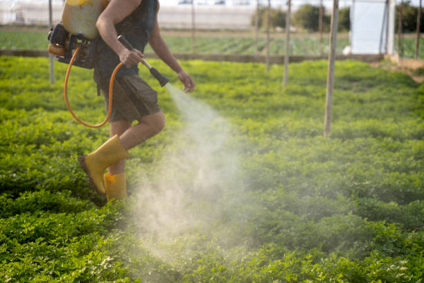 Best Residential Pest Control  in Camden, TN