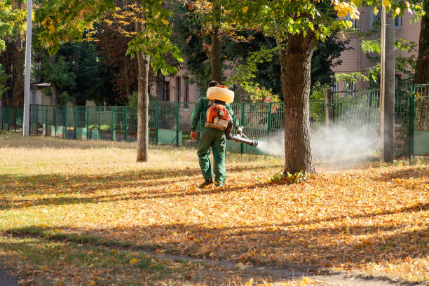Best Pest Control Near Me in Camden, TN