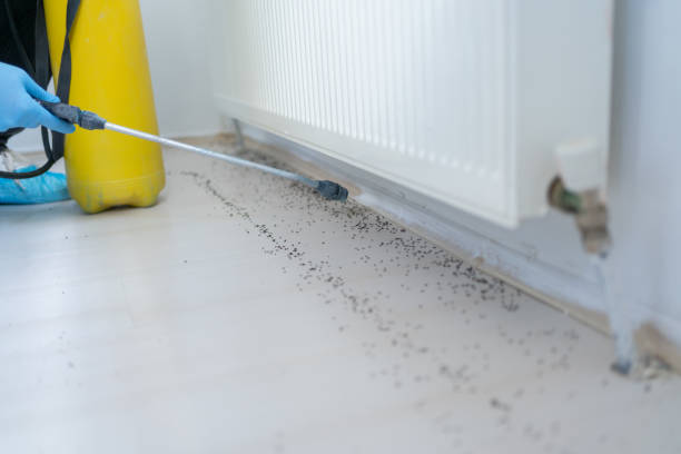 Best Pest Removal Services  in Camden, TN